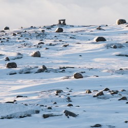 Arctic Rocks