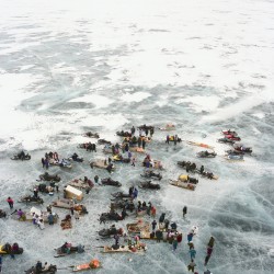 Arctic Picnic