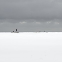 Dog Sled