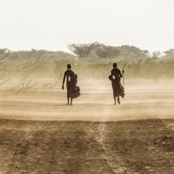 Turkana Companions