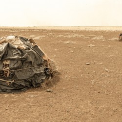 Turkana Habitat