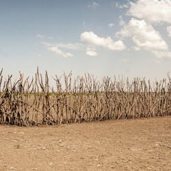 Turkana Fence