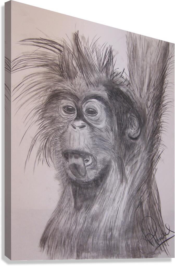 petit singe Canvas Print