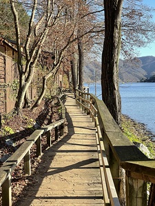 Nami Island Boardwalk