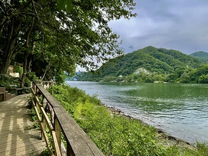 Nami Island by the River