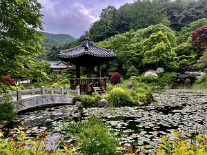 Pavilion Garden of Morning Calm