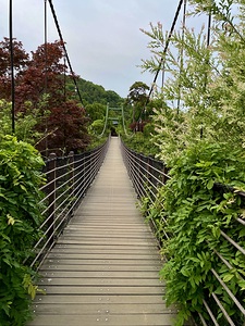 Suspension Bridge Garden of Morning Calm
