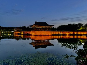 Wolji Pond Reflections