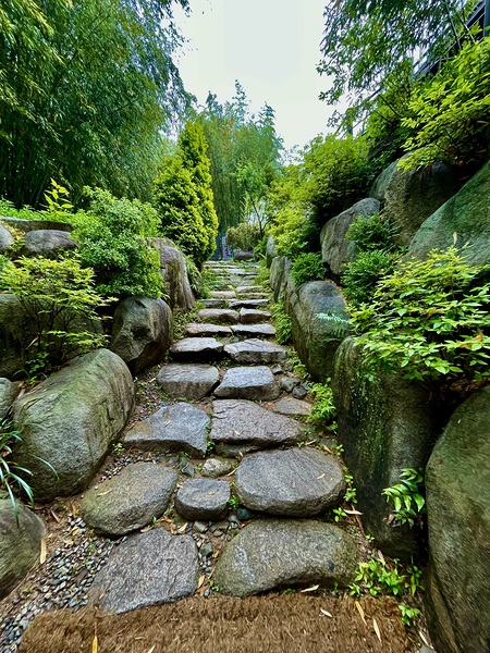 Forest Stairway Print