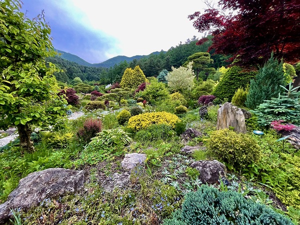 Garden Overview Print