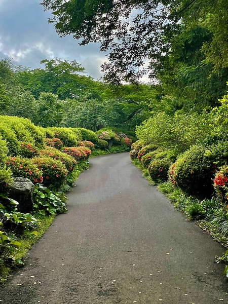 Garden Path Jeju Print
