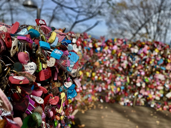 Love Locks Print