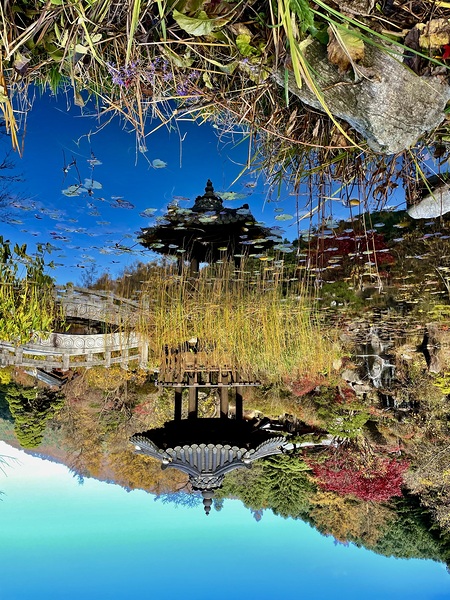 Pavilion Reflected Print