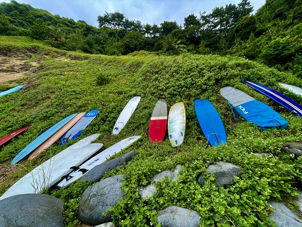 Surfboards Jeju by Alyssa Rae