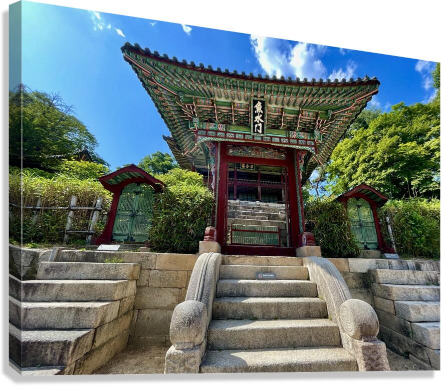 Three Doors Canvas Print