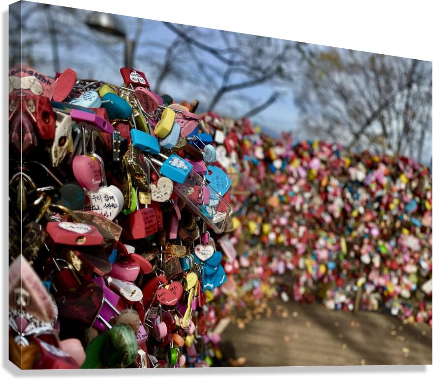Love Locks Canvas Print