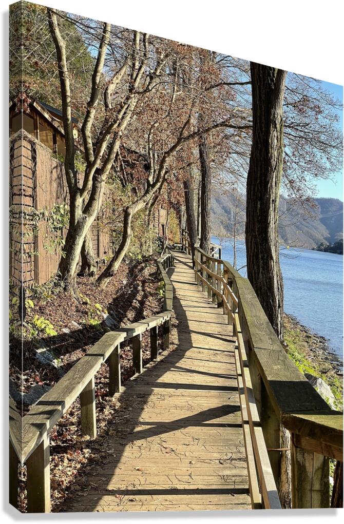 Nami Island Boardwalk Canvas Print