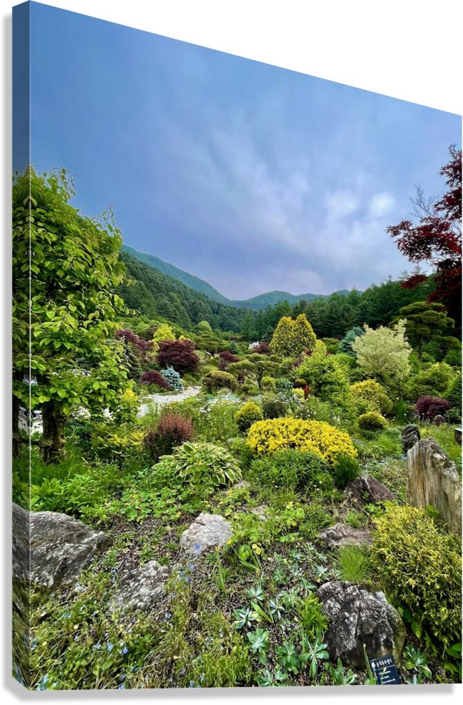 Garden View Canvas Print