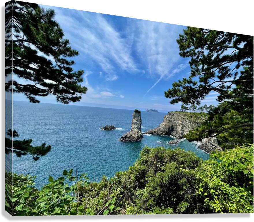 Oedolgae Canvas Print