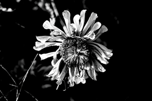 End of season