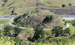 Dead Mans Curve