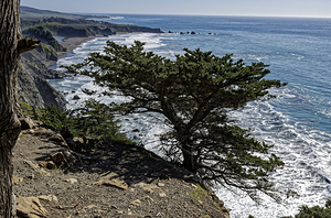 Big Sur Coast one