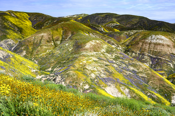 Temblor Mountains Print