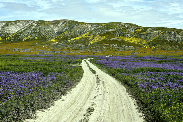 San Luis Obispo Backcountry Road by Ed Ruth