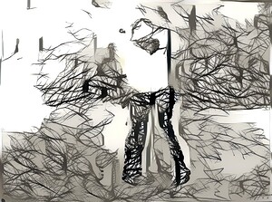 img7320663 f728136176c60e51.v1