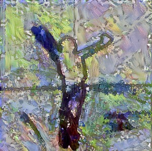 img7320574 c2a5e5991dac22db.v1