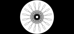 download   2024 10 10T151335.363