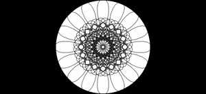 Intricate Bloom