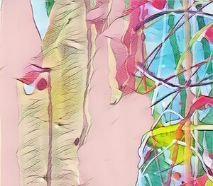 earthly strips