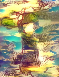 img7309088 fff5cb5fda560924.v1