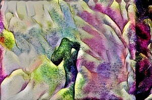 img7313750 dd8aee63b63193a3.v1