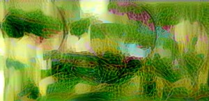 img7431675 3bbb89819ccb9e31.v1