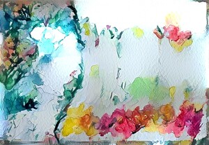 img7426068 3b4715b1a64225f9.v1