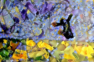 img7363459 f621652715955fe4.v1