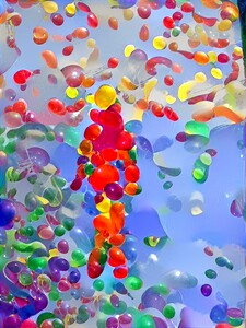 img7286184 56ab8dd81943612c.v1