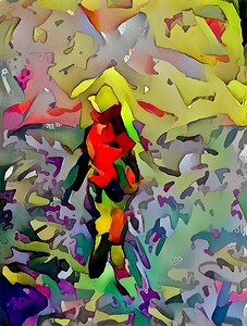 img7313709 49a05fbb60a1efa7.v1