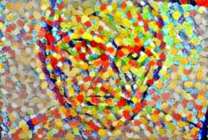 img7426128 3ef5df7536fb6af3.v1