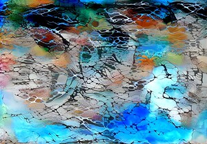 a heart full of wonder