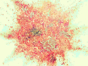 the red splash