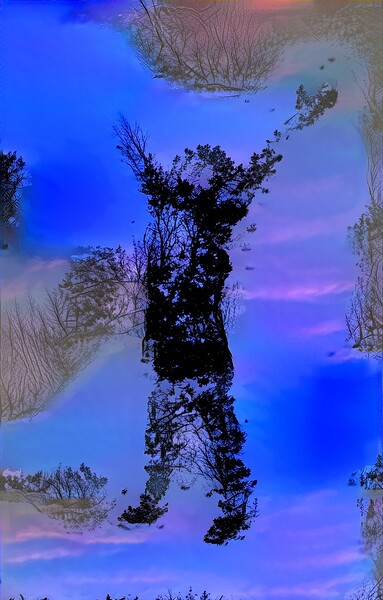 img7429167 bc1a5570535542a9.v1 Print