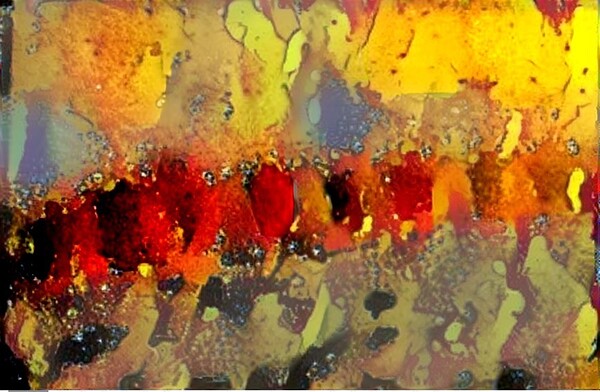 img7431888 0c994178b4719dda.v1 Print