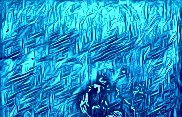 Blue Print