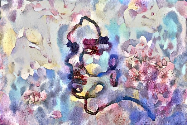 portrait shades Print