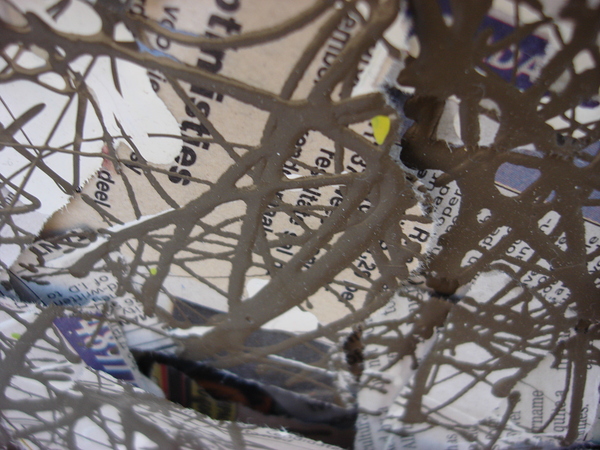 Entangled Perspectives Print
