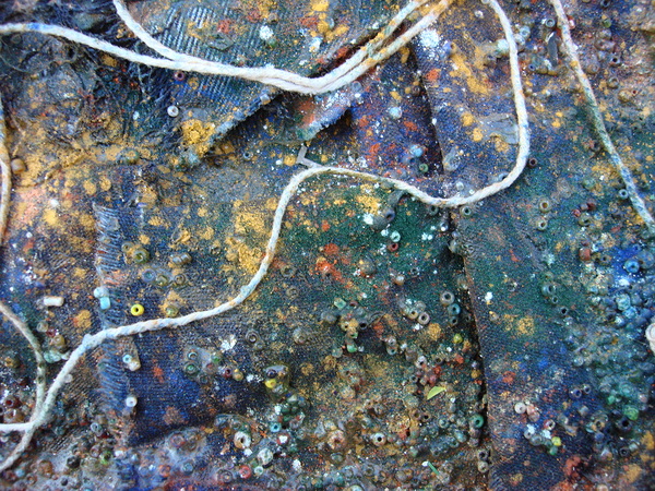 Textured Tapestry Print