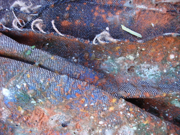 Textures of Time: Decay and Renewal Print